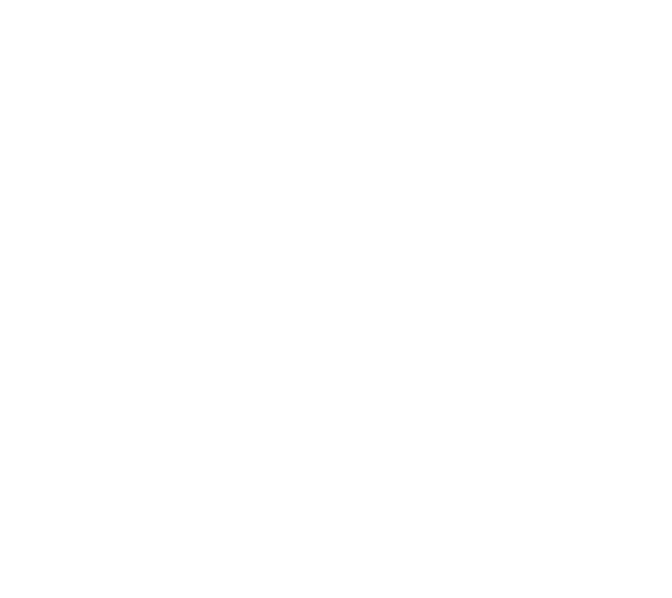 Logo ufficiale 30 Anniversary